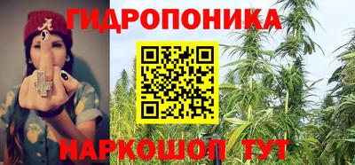 ГАЛЛЮЦИНОГЕННЫЕ ГРИБЫ Пугачёв